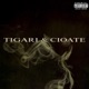 TIGARI CIOATE Single