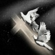ascension feat Shayyn Single