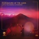 Playground Of The Gods Single