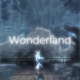 Wonderland Single