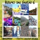 Resumo das Favelas 6 Single