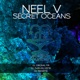 Secret Oceans Single
