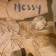 Messy Single