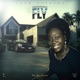 Fly Single