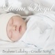 Brahms Lullaby Cradle Song Single