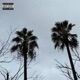 Vibe Check Single