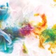 Colour Point