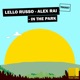 In the Park Single