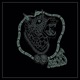 Phases Single