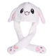 SADBUNNY2021 Single