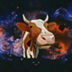 Cow Single
