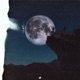Buonanotte Single