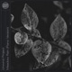 Meadow Rain Piano Version Single
