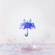 Lluvia Single