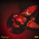 Rara Deep End Single