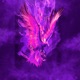 Fenix Single