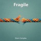 Fragile Single