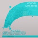 Light Birds Single