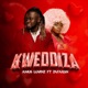 Kweddiza feat Zafaran Single