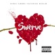 Swerve feat Napalm Single