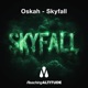 Skyfall Single