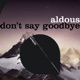 Don t Say Goodbye Single