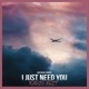 I Just Need You feat Brdgs Radio Edit Single