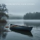 Instrumental Calm Covers