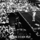 LOOK I CAN FLY Single