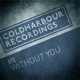Without You Single