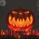 Pumpkin Single