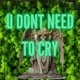 U Dont Need To Cry Single