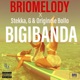 Bigi Banda feat G Originele Bollo Stekka Single
