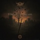 Forgotten Dreams