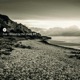 Sound By the Shore Single