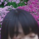 HOWL Single