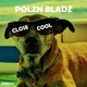 Close Cool Radio Edit Single