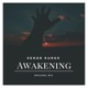 Awakening Single