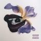 The Orchid Xperiment EP