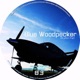 Blue Woodpecker EP