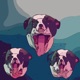 Superdog Deluxe Edition