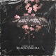 Black Sakura feat FIFexclamation Single