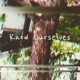 Know Ourselves Single