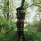 Cry Out Single