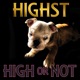 High or Not Single