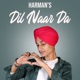 Dil Naar Da Single