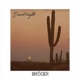 Desert Night Single