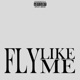 Fly Like Me Single
