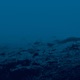 is presence still presence in absence Single