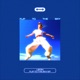 Flip to the Sky Edit Single